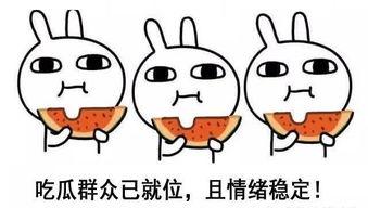 娱乐吃瓜酱想哄你的人,娱乐吃瓜酱的甜蜜哄你人生攻略