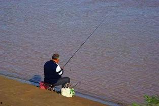 娱乐吃瓜钓鱼视频,吃瓜、钓鱼视频带你领略休闲生活新风尚