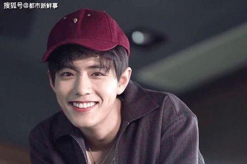 娱乐圈吃瓜爆料肖战小说,娱乐圈风云再起，揭秘明星背后的秘密